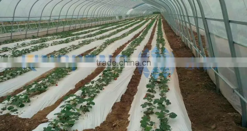 plastic grow tunnel for vegetable growing