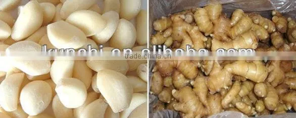 Garlic and Ginger slicing machine