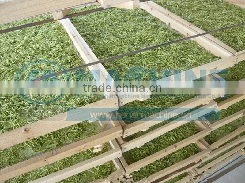 Commercial vegetable and fruit and Green tea drying machine
