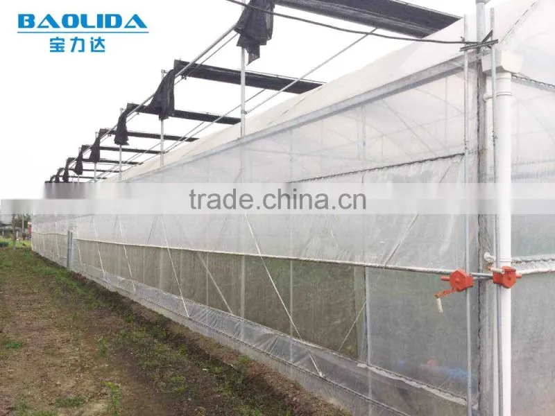 Professional Plastic Film Greenhouse Project Commercial Hydroponic Systems