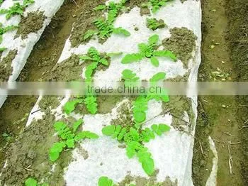 high quality PE agriculture film