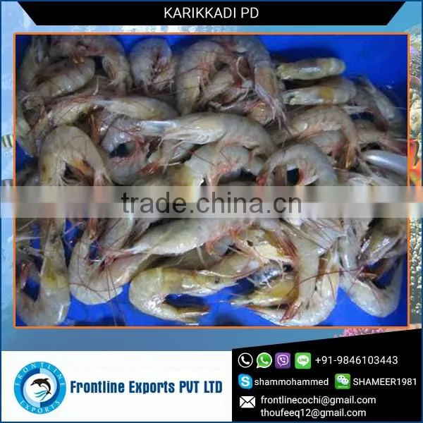 Bulk Buyers of Karikkadi Pd at Wholesale Price