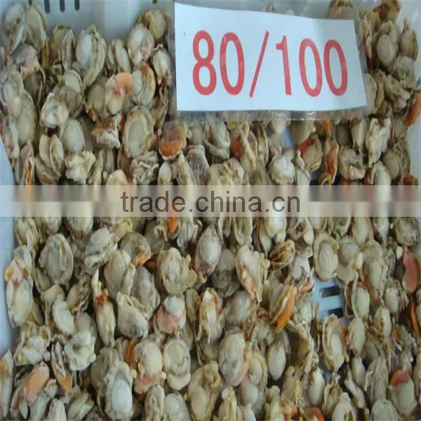 sea frozen cooked raw sacllop adductor