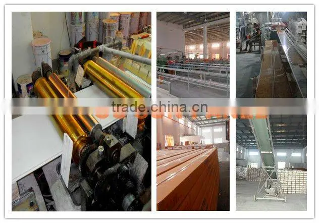 PVC Transparent Plastic Panel