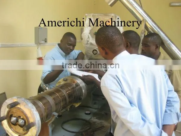 Extrusion Snacks Food Machine in Uganda