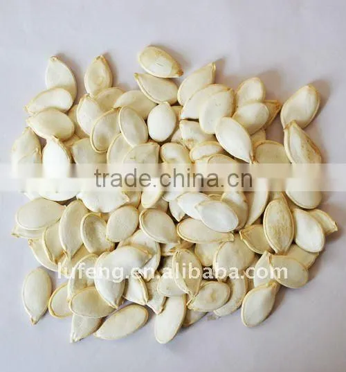 Chinese New Crop White Pumpkin Seeds 10cm,11cm,12cm,13cm