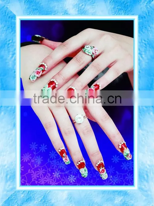 Decorative Painting pictures/nail posters nail art designs