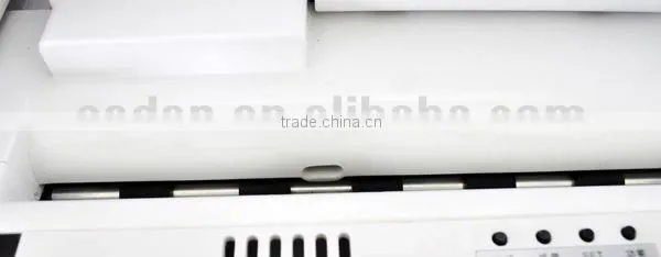 Electronic sensor paper towel dispenser