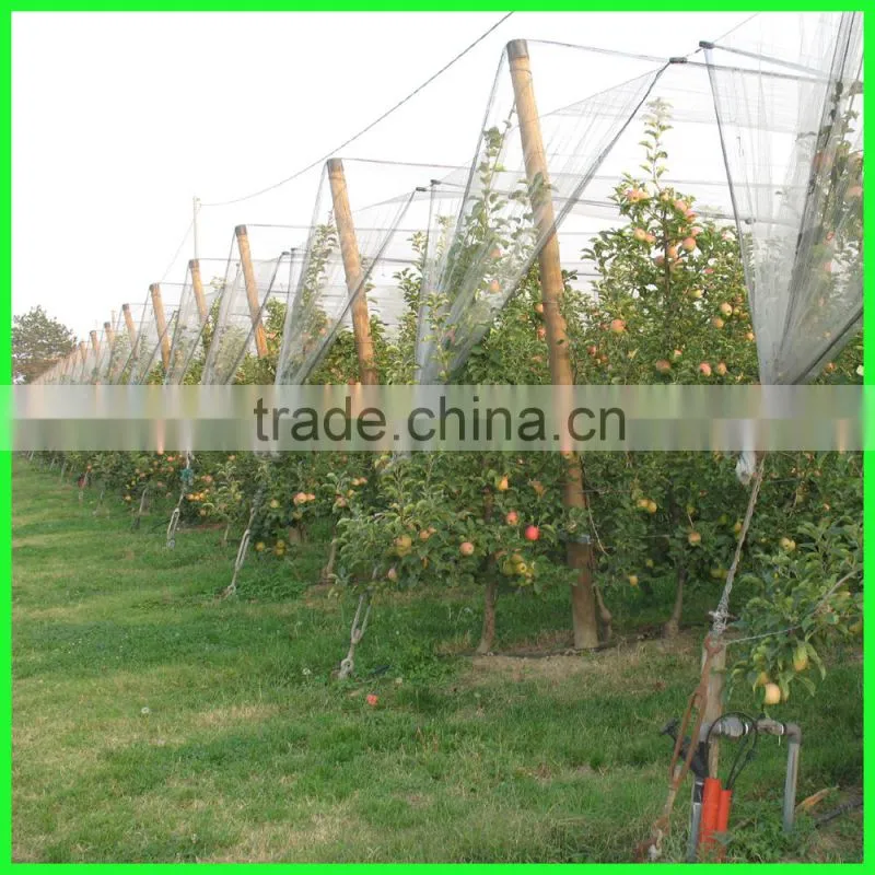 drape over grape trees UV treated PE hail guard nets