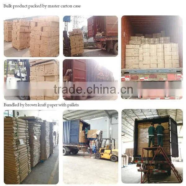 Paper Carton for Nailer Packaging