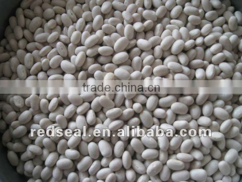 Yunnan Organic white kidney beans