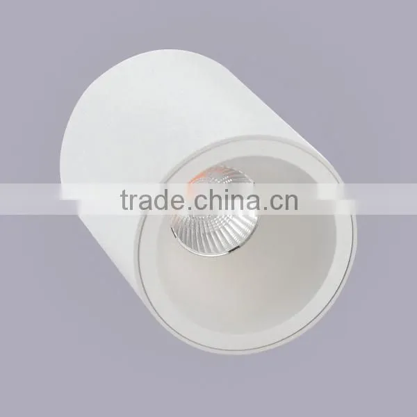 hidden adjustable dimmable new 4inch/6inch/8inch led ceiling light