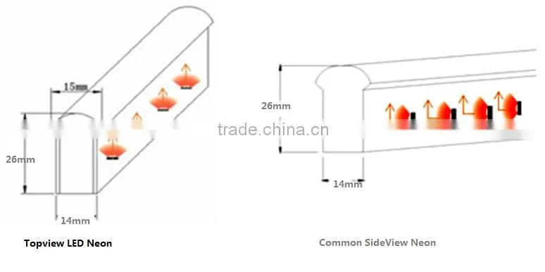 Trade assurance professional top view led neon tube factory