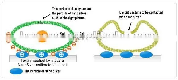 Nano silver antibacterial spray