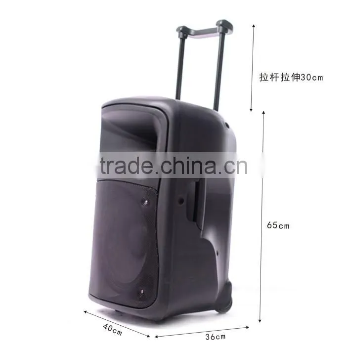 8 inch professional PA audio system bt speaker