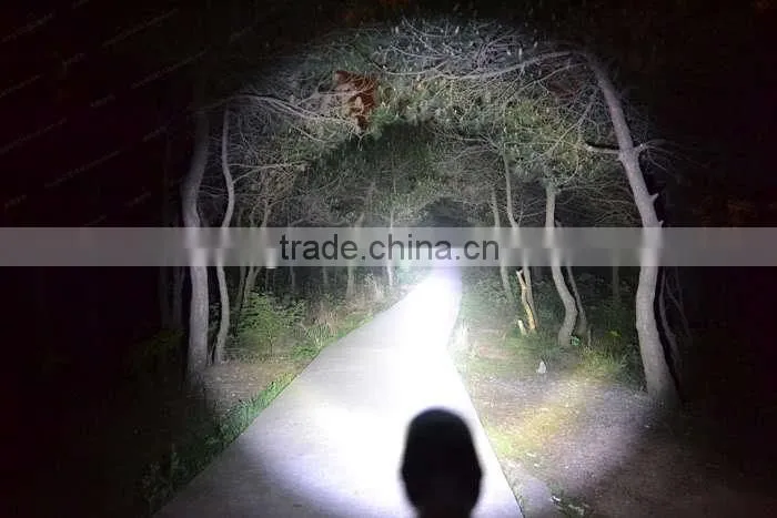 LED Flash light 3T6