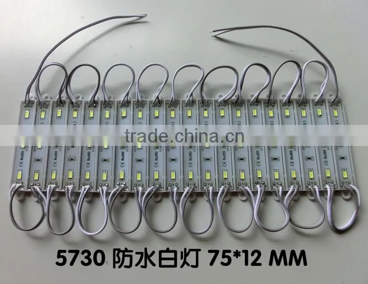 Flexible Led Light Led Downlight Module Super Bright 5730LED Module 3 LEDS Waterproof IP67 SMD modules white light