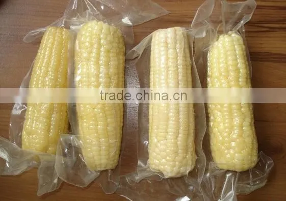 IQF frozen yellow corn cob in vacuum package