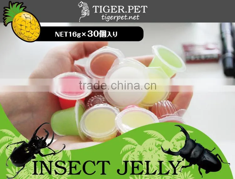 2015 new products assorted pudding cup jelly