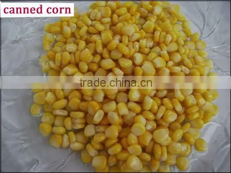 Canned Food Best Canned Sweet Corn Kernel with good price
