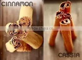 Cassia Oil