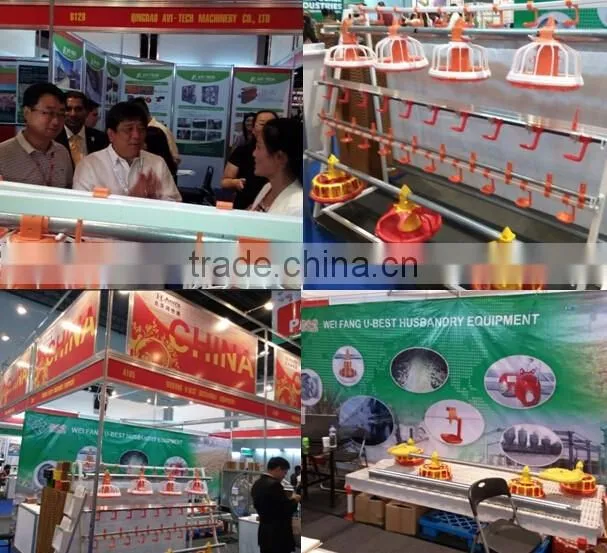automatic poultry equipment for 40'x450' broiler houses