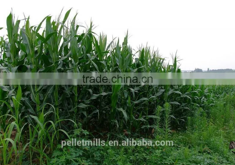 High quality ensilage cutter machine made in China