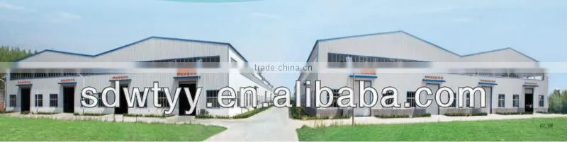 hydraulic cylinder for crane/loader/excavator