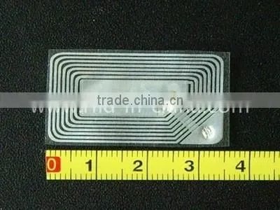 Passive LF 125KHz RFID worm Tag