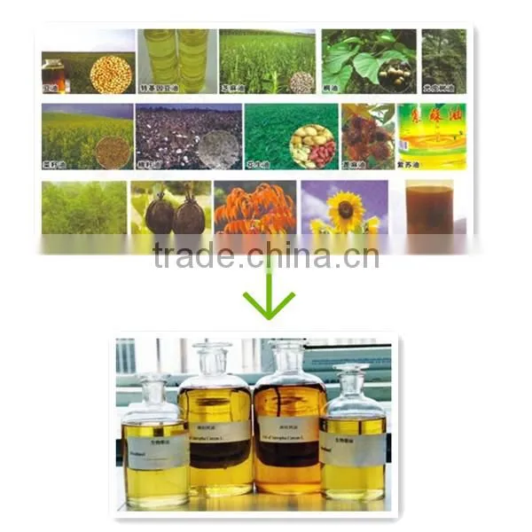 SGS approved biodiesel producing line from waste oil to biodiesel