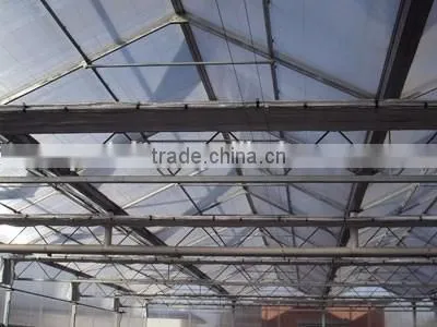 Inside sunshade greenhouse