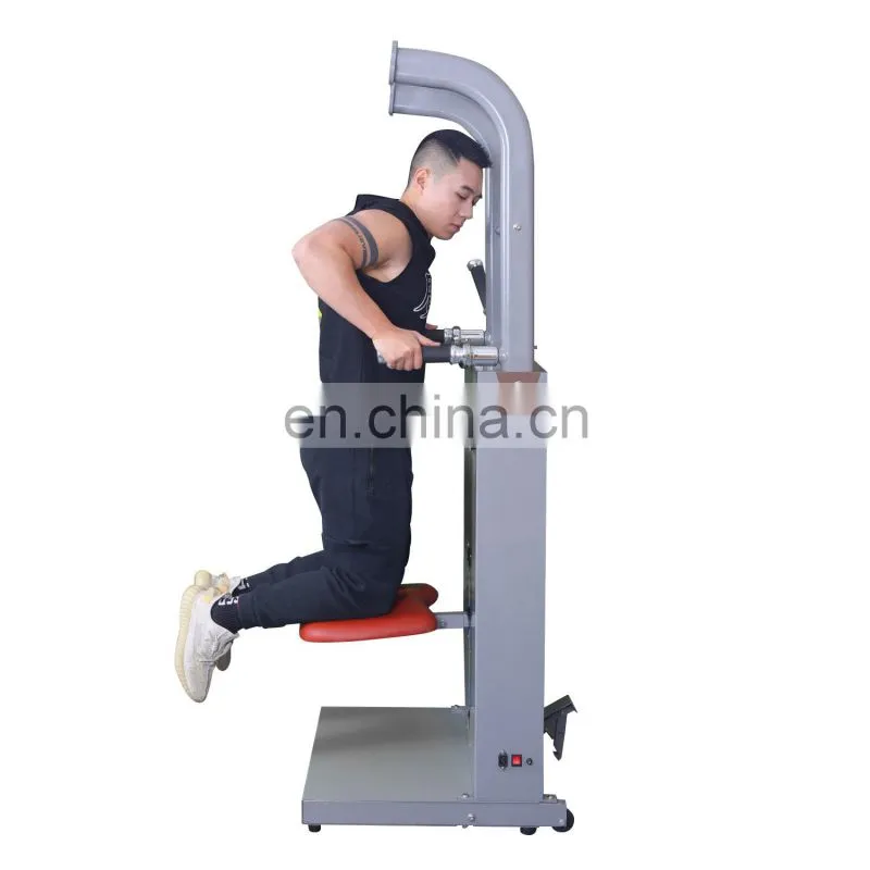 vertical knee raise /arm exercise fitness equipment