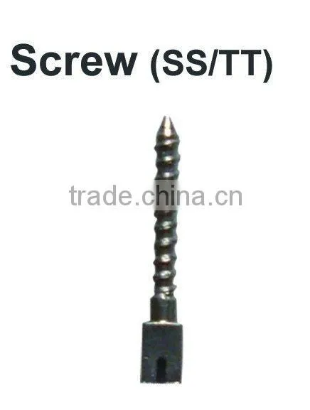 Dental Screw (SS) Guangzhou hot sell