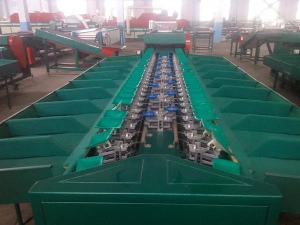 Apple Peach Pomegranate Mandarin Orange Avocado Pear Fruit Sorting Grading Machine Sizer Grader
