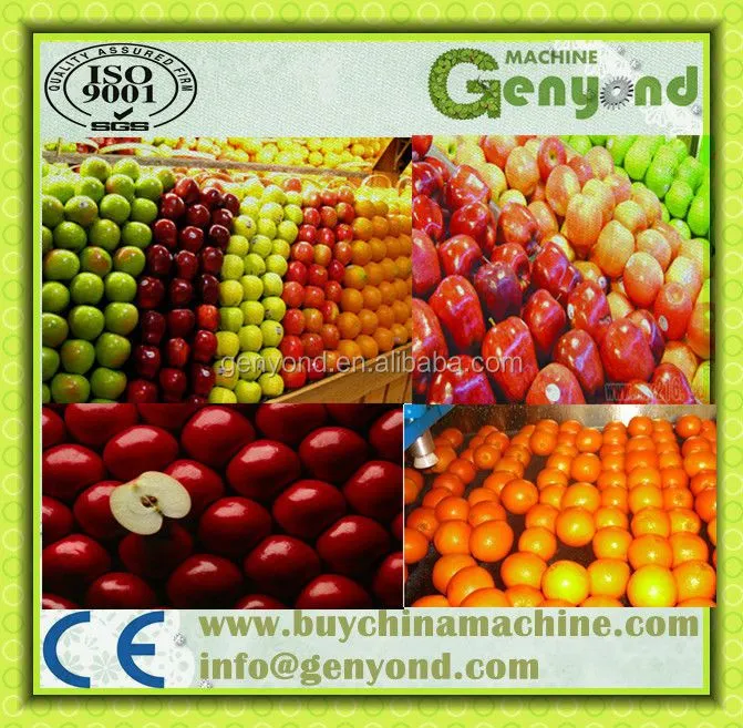 Citrus Waxing Machine Fruit Washing and Waxing Machine Fruit Waxing Machine