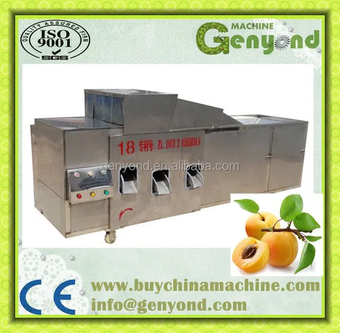 Olives Nuclear and Seed Remove Machine / Olives Pitting and Pitter Machine / Olives Stone Extractor