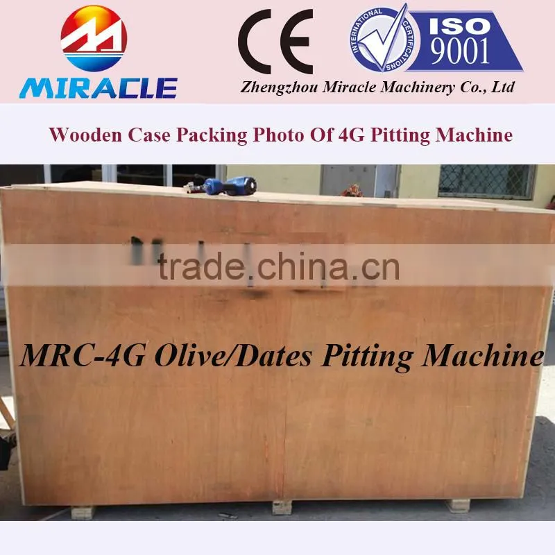 Fast Delivery Date Palm Core Seed Removing Machine From Fruit Process