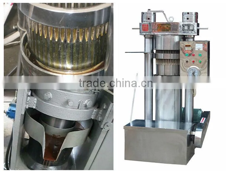 Best price moringa cold oil press oil expeller machine for the market needs