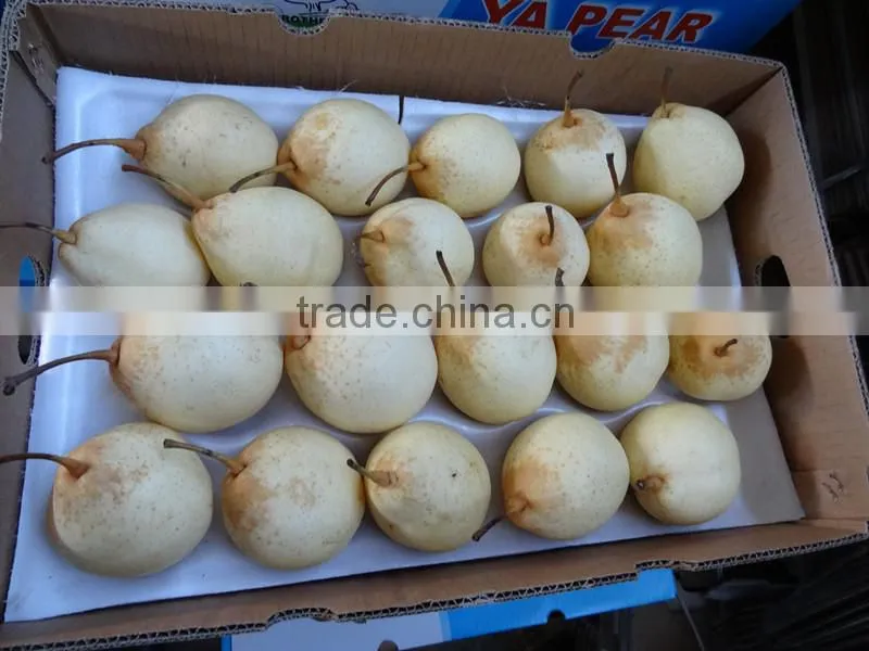 ya pear crown pear from fty