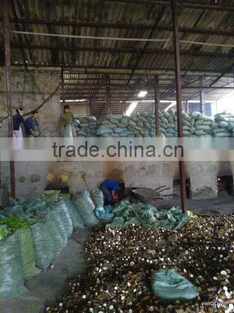 Cheap Price Cassava Chip 04
