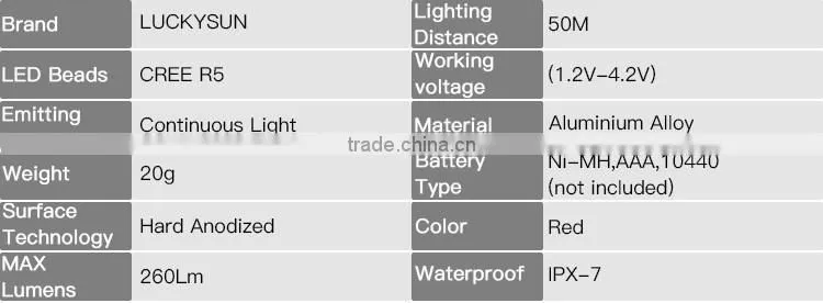 Guangdong new product R5 300 Lumens AAA NiMH 10440 battery torch flash light