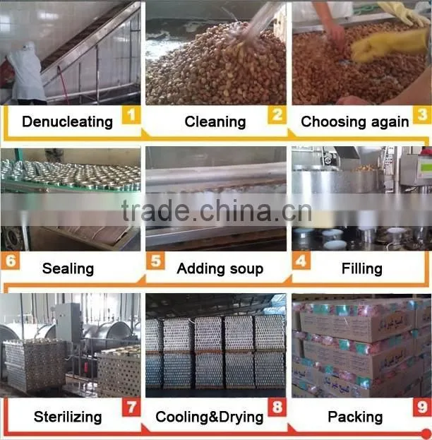 Cheap wholesale salty preserverd canned white kindey beans
