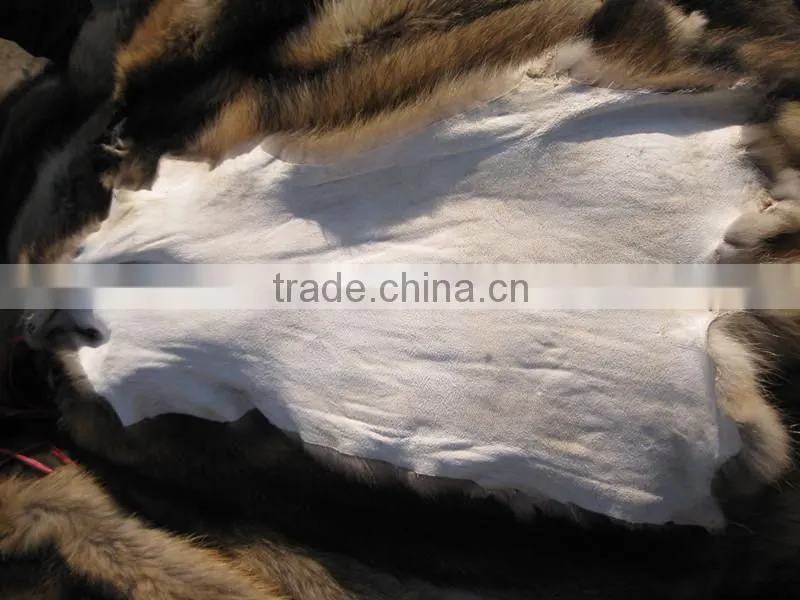 2016/2017 Real Tanning Raccoon Fur Skin