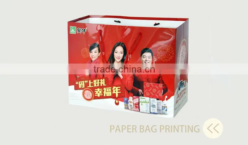 fancy rope handle recycle paper bag printing