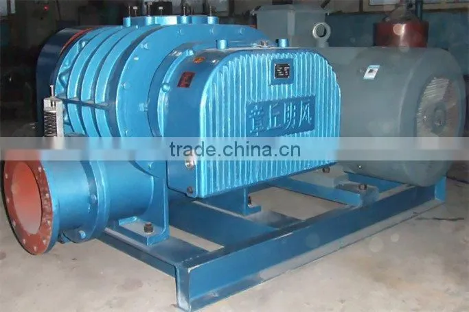 High pressure roots blower