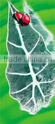 JETYOUNG Hydrographic Carbon Film-carbon printing Film-water transfer film
