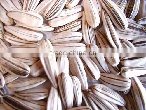 peeled sunflower seeds