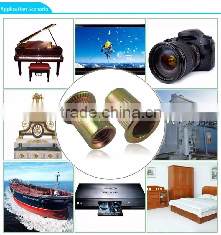 Hot sale internal thread closed end riveted nut insert nut