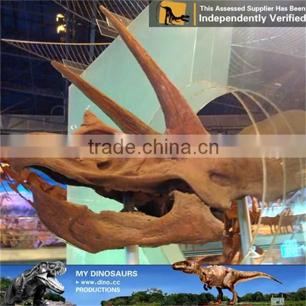 MY Dino-C087 Amusement park life size triceratops skeleton