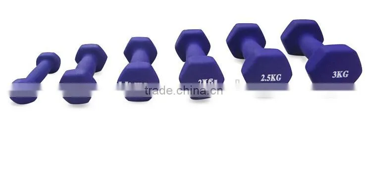 Exercise Equipment Cast Iron Neoprene Dumbbell for Women